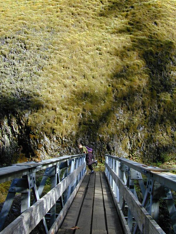 Giant moss cliff