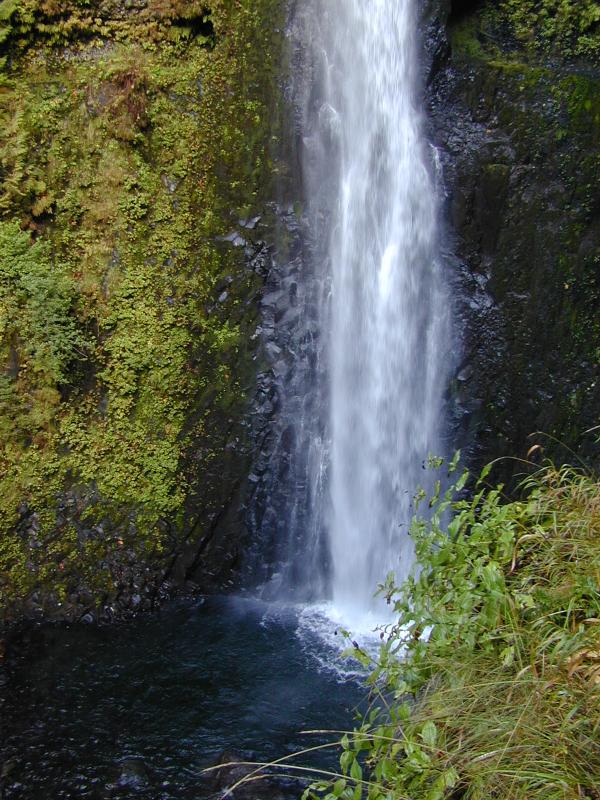 The bottom