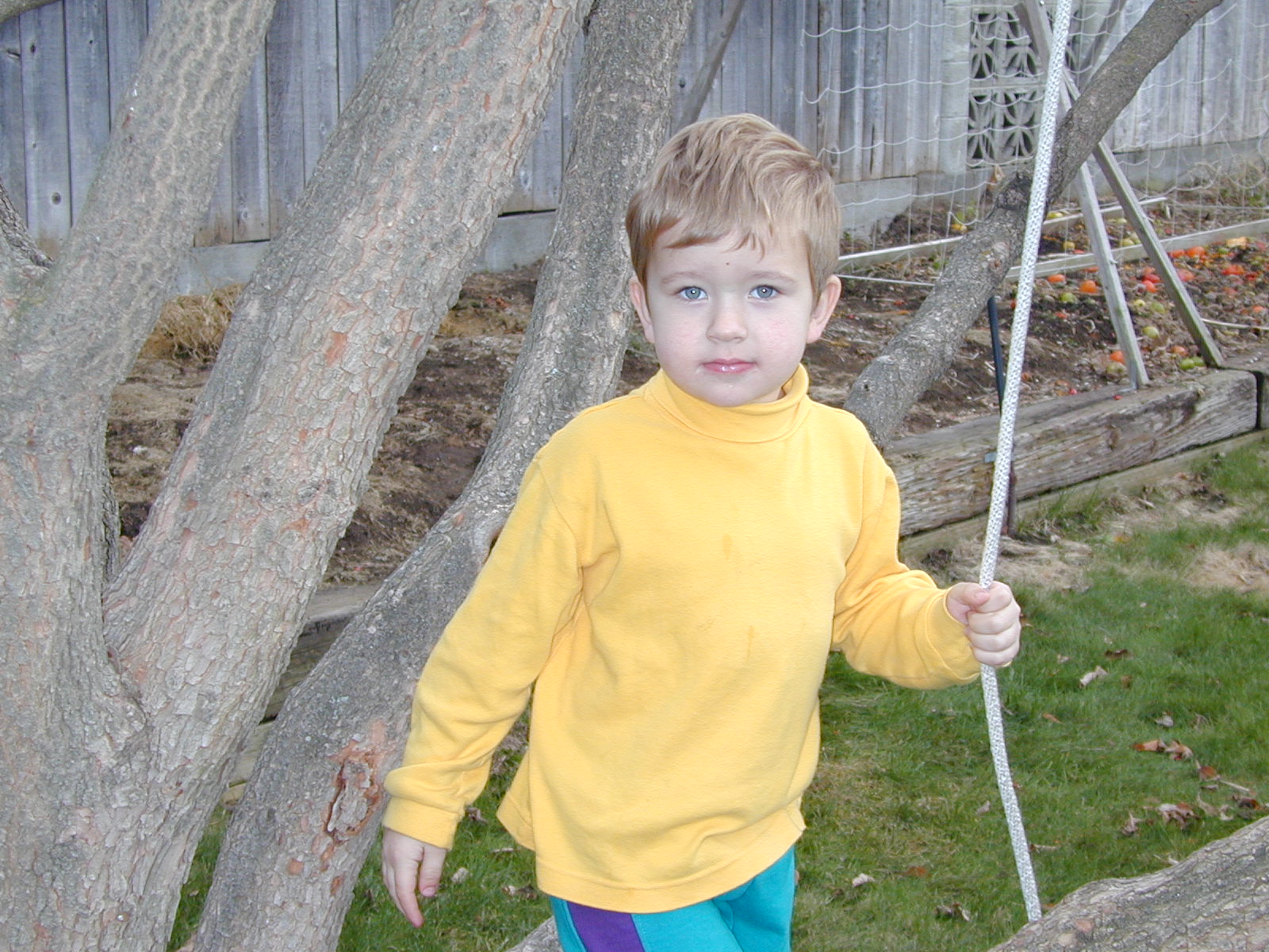 Photo 25