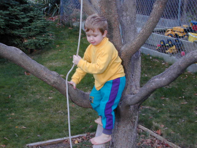 Photo 40