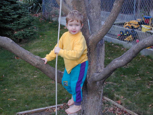Photo 44