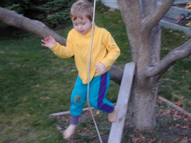 Photo 49