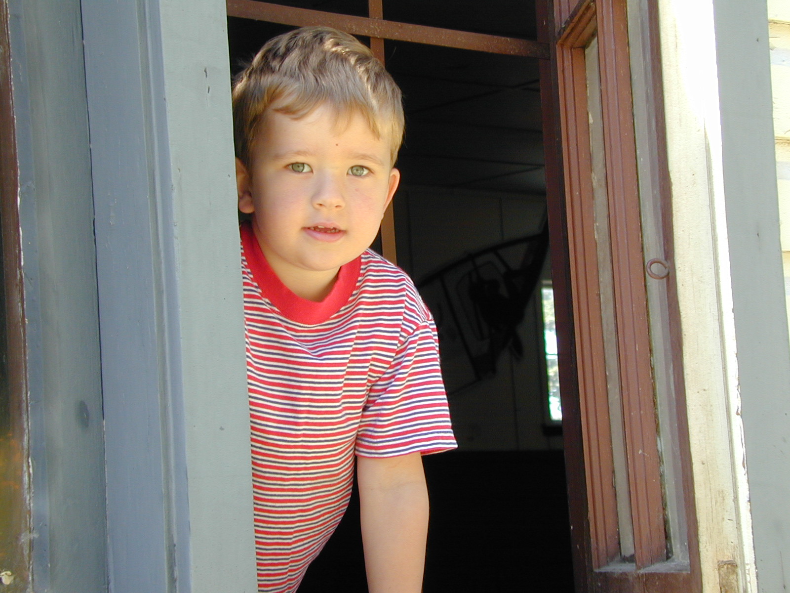 Photo 202