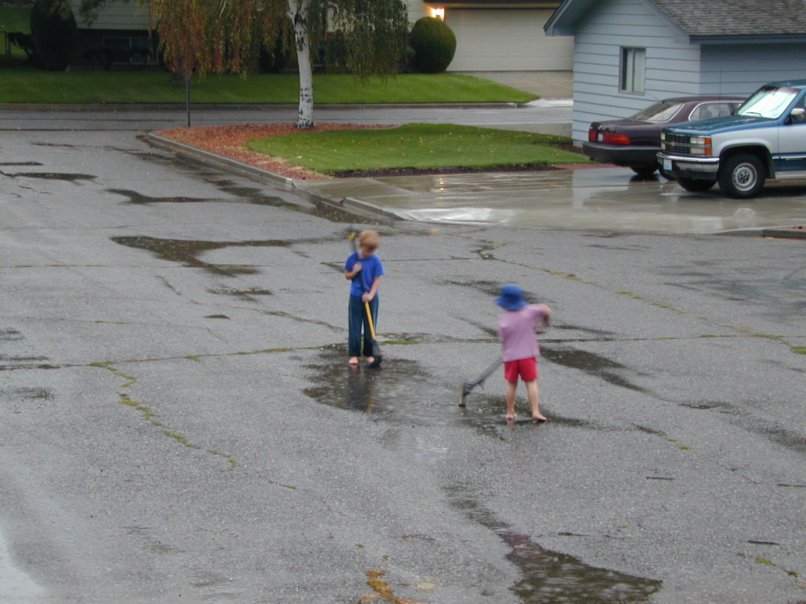 Photo 236