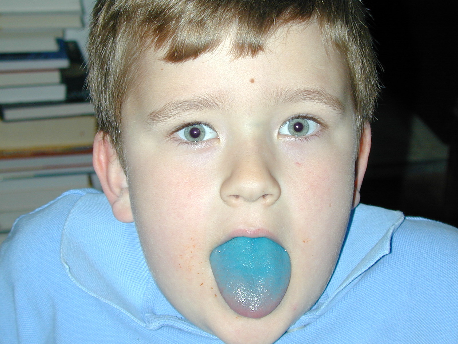 Photo 425
