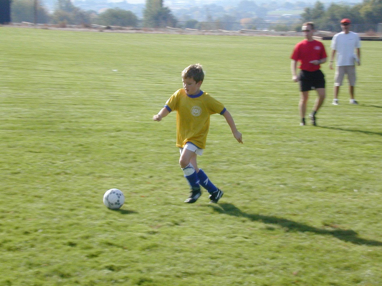 Photo 434