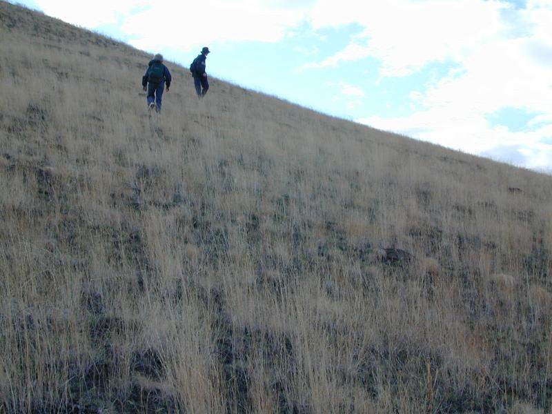 The Ridge hike photo 5