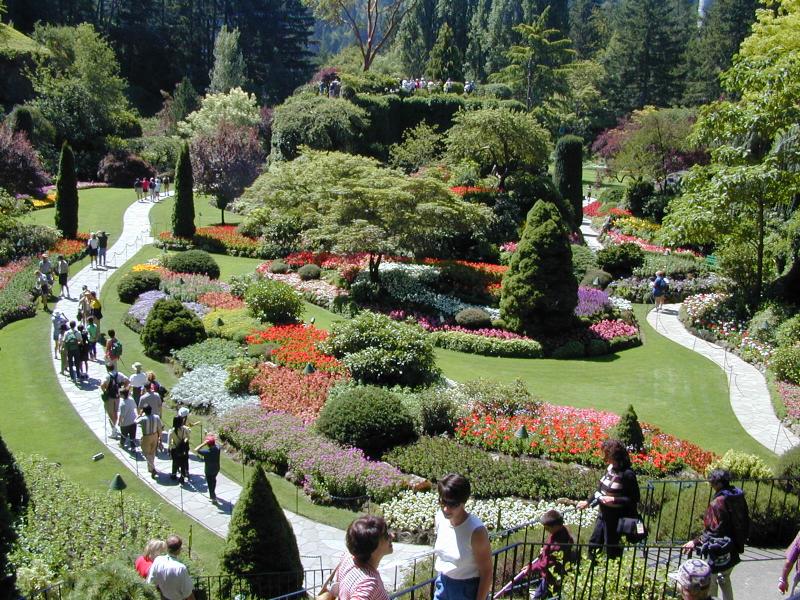 Vancouver Island photo 8