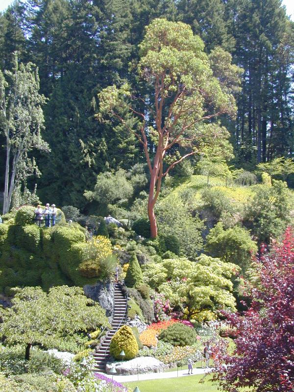 Vancouver Island photo 12